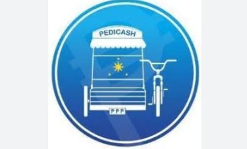PediCash Loan App