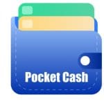 Pocket Cash Loan